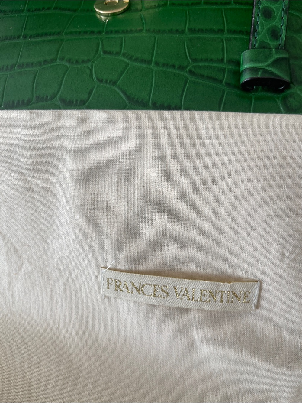 Frances Valentine Emerald Croc-Embossed leather Small Slim Tote with Gold Logo - Picture 7 of 8